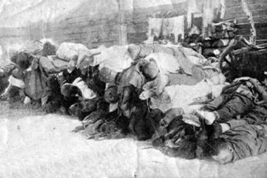 Фото Падали на улице и умирали. В Новосибирске опубликованы кадры смертельных эпидемий 6